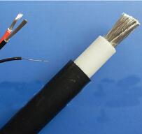 WDZ-DCK，WDZ-DCKP-125，DCEVM機車電纜