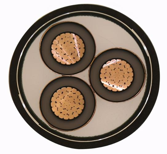 16893849364755.png v2-36a90c06292450cdafc34a869cc7b6ba_720w.png